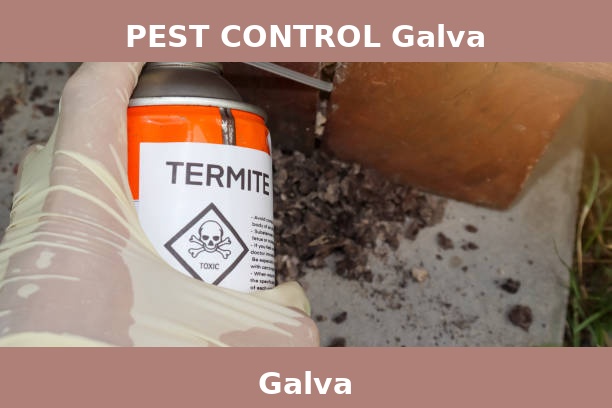 PEST CONTROL Galva